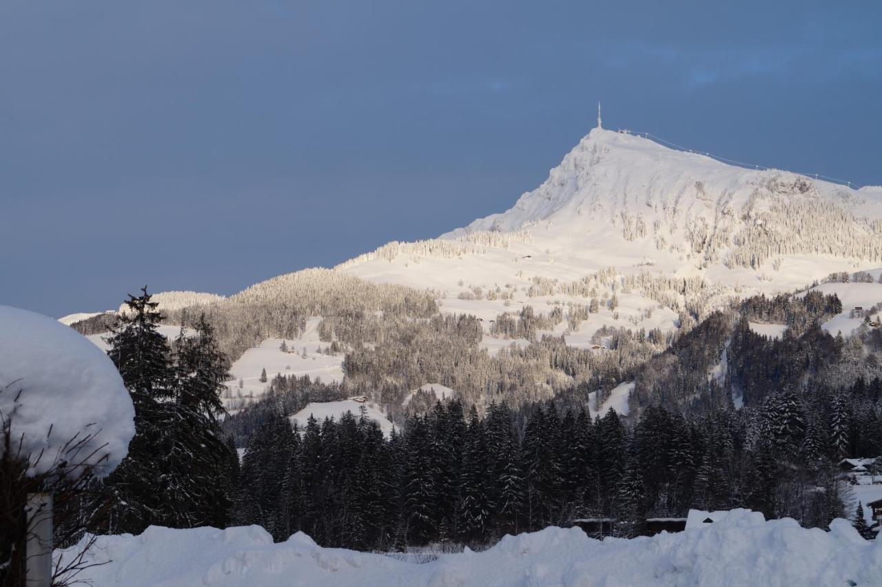 Villa Kitzbuehel Kirchberg in Tirol Exteriér fotografie